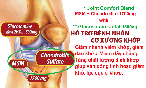 gluco msa.png